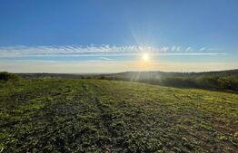 Teren Intravilan - Oradea