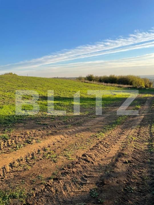 Teren de vânzare Garii - 160314TV | BLITZ Oradea | Poza7