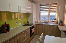 Apartament modern 2 camere în Calea Aradului, bloc nou, view panoramic!