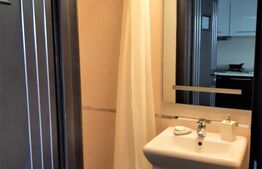 Penthouse ultracentral, 2 nivele, 100mp!