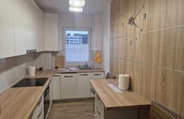 Apartament 2 camere, zona centrală