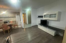 Apartament de 3 camere, Nufarul