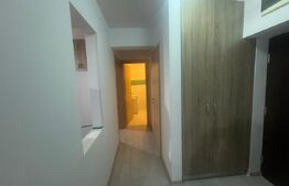 Apartament de 3 camere, Nufarul