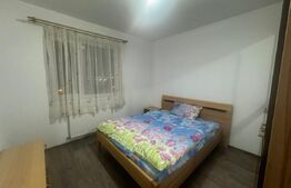 Apartament de 3 camere, Nufarul