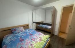 Apartament de 3 camere, Nufarul