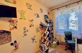 Apartament 3 camere, 59 mp, mobilat/utilat, zona Rogerius