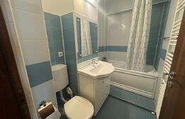 Apartament de 3 camere Magheru