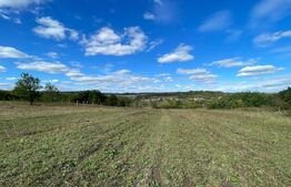 Teren de vânzare Nufarul - 183465TV | BLITZ Oradea | Poza2