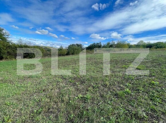 Teren de vânzare Hidiselu de Jos - 161120TV | BLITZ Oradea | Poza4