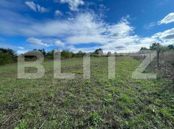 Teren de vânzare Hidiselu de Jos - 161120TV | BLITZ Oradea | Poza6