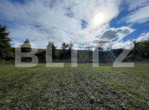 Teren de vânzare Hidiselu de Jos - 161120TV | BLITZ Oradea | Poza5