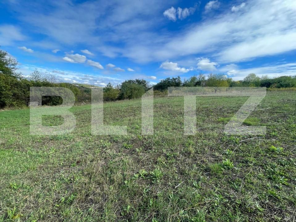 Teren de vânzare Hidiselu de Jos - 161120TV | BLITZ Oradea | Poza4