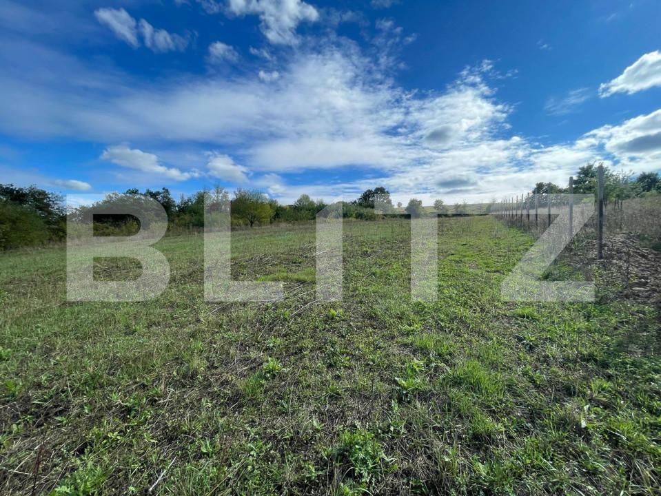 Teren de vânzare Hidiselu de Jos - 161120TV | BLITZ Oradea | Poza6
