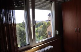 Apartament 3 camere, zona Corneliu Coposu