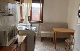 Apartament tip X - Nufarul