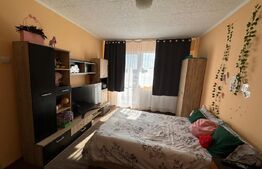 Apartament 2 dormitoare, zona Nufarul