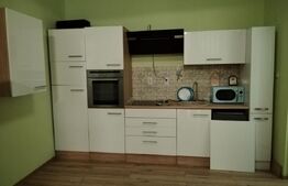 Oferta exceptionala, casa cu 4 camere, 150 mp, zona Salbociu 