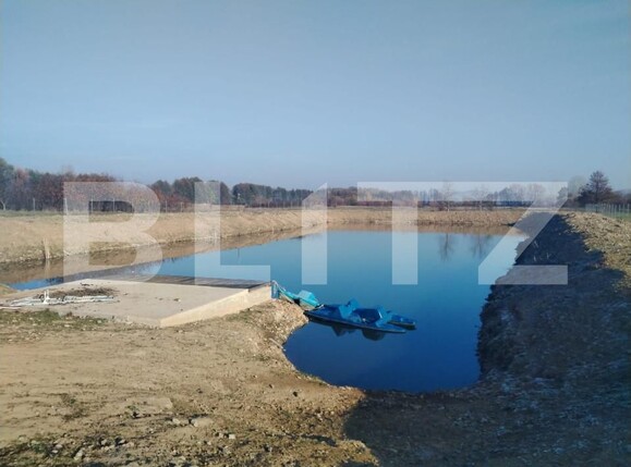 Casa de vânzare 4 camere Exterior Est - 161948CV | BLITZ Oradea | Poza10