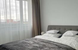 Apartament de 2 camere Onestilor