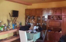 Casa cu 6 camere, 294 mp, zona-Nufarul