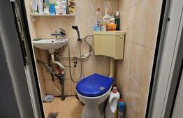 Uscatorie parter, 7 mp, In Decebal