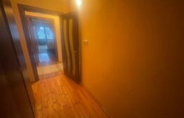 Casă cu 6 camere, 250 mp utili, teren de 830 mp, Calea Aradului