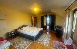 Casă cu 6 camere, 250 mp utili, teren de 830 mp, Calea Aradului