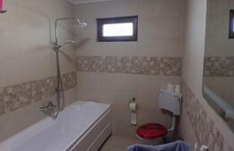 Casa superba in Tinca, 225 mp, 20 ari luciu de apa, teren fotbal, spatii verzi