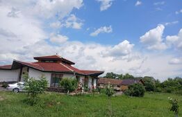 Casa superba in Tinca, 225 mp, 20 ari luciu de apa, teren fotbal, spatii verzi