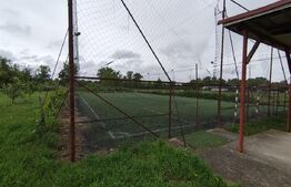 Casa superba in Tinca, 225 mp, 20 ari luciu de apa, teren fotbal, spatii verzi