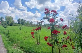 Casa superba in Tinca, 225 mp, 20 ari luciu de apa, teren fotbal, spatii verzi