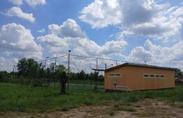 Casa superba in Tinca, 225 mp, 20 ari luciu de apa, teren fotbal, spatii verzi