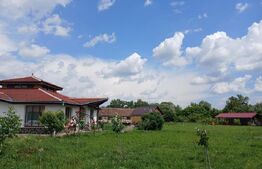 Casa superba in Tinca, 225 mp, 20 ari luciu de apa, teren fotbal, spatii verzi