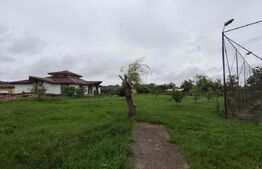 Casa superba in Tinca, 225 mp, 20 ari luciu de apa, teren fotbal, spatii verzi