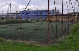 Casa superba in Tinca, 225 mp, 20 ari luciu de apa, teren fotbal, spatii verzi