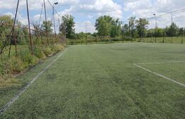 Casa superba in Tinca, 225 mp, 20 ari luciu de apa, teren fotbal, spatii verzi