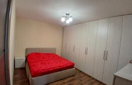 Casa superba in Tinca, 225 mp, 20 ari luciu de apa, teren fotbal, spatii verzi