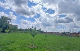 Casa superba in Tinca, 225 mp, 20 ari luciu de apa, teren fotbal, spatii verzi