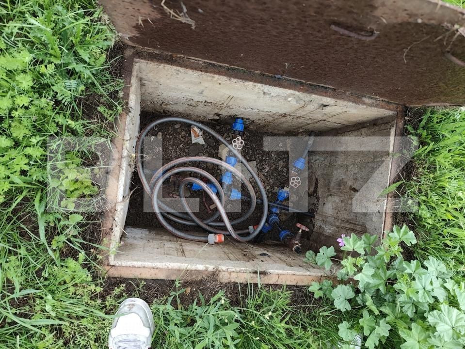 Casa de vânzare 6 camere Tinca - 162449CV | BLITZ Oradea | Poza20