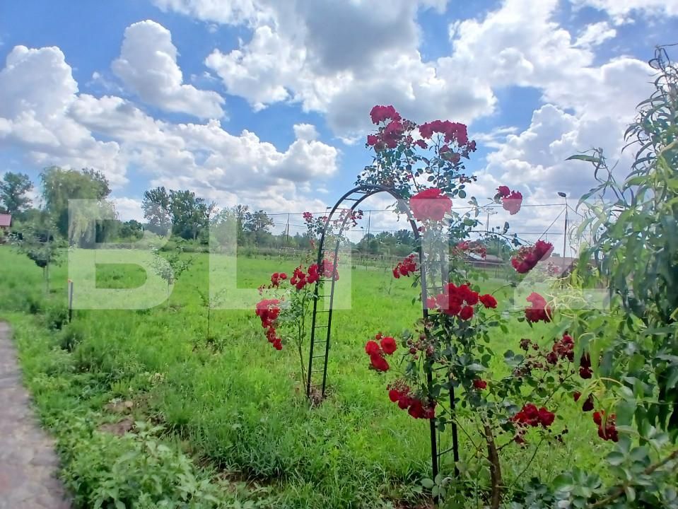 Casa de vânzare 6 camere Tinca - 162449CV | BLITZ Oradea | Poza2