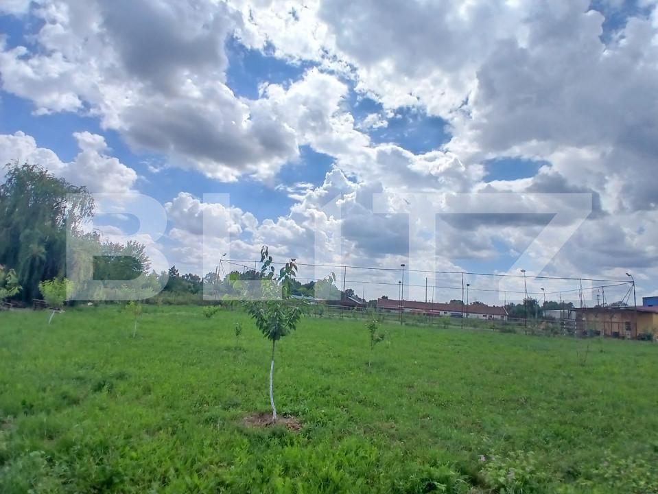 Casa de vânzare 6 camere Tinca - 162449CV | BLITZ Oradea | Poza4