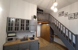 Apartament de vanzare tip studio, 30mp, zona Ultracentrala