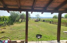 Casa noua lângă Tileagd 160 mp cu teren 1400 mp