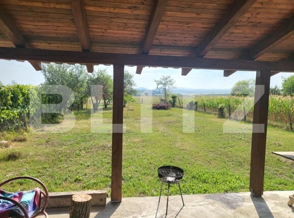 Casa de vânzare 4 camere Tilecus - 162684CV | BLITZ Oradea | Poza19