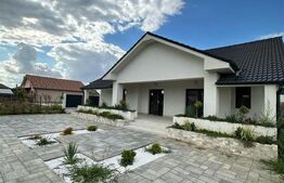 Casa cu 4 dormitoare, 4 bai si 2 bucatarii, terasa si beci  de vanzare in Oradea