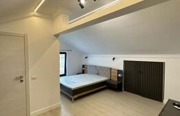 Casa cu 4 dormitoare, 4 bai si 2 bucatarii, terasa si beci  de vanzare in Oradea