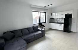 Casa cu 4 dormitoare, 4 bai si 2 bucatarii, terasa si beci  de vanzare in Oradea