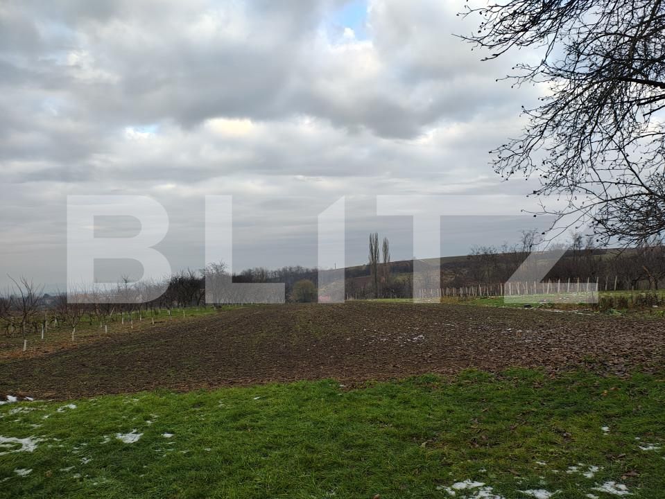 Casa de vânzare 5 camere Periferie - 163086CV | BLITZ Oradea | Poza4