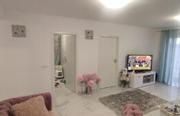 Casa moderna cu 3 camere, situata la intrare in comuna Nojorid