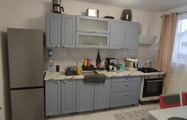 Casa moderna cu 3 camere, situata la intrare in comuna Nojorid